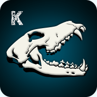 k-icon3.png